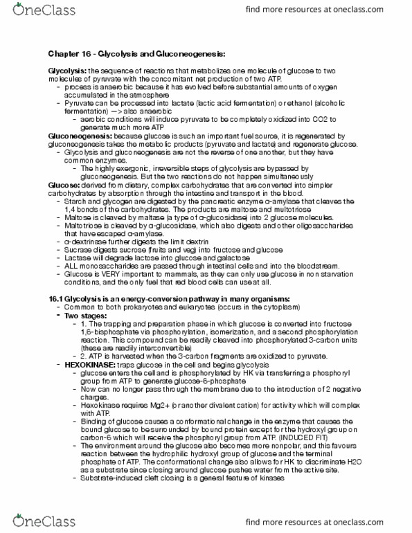 BIOC 300B Chapter Notes - Chapter 16.1 and 16.2: Oxidative Phosphorylation, Glucosidases, Ethanol Fermentation thumbnail